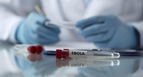 L'ombra dell'Ebola: l'OMS innalza il livello di allerta massimo per l'Africa Centrale